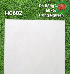 Vĩ Năng 60x60 - HC602