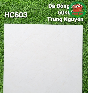 Vĩ Năng 60x60 - HC603