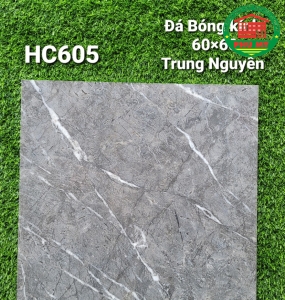 Vĩ Năng 60x60 - HC605