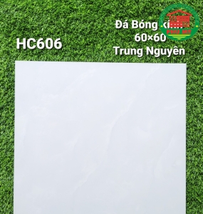 Vĩ Năng 60x60 - HC606