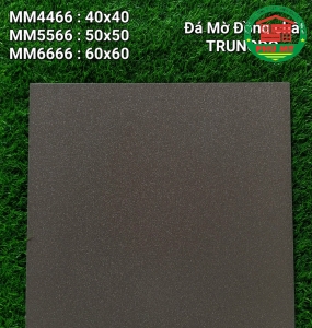 Vĩ Năng 60x60 - MD6666