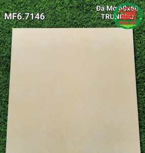 Vĩ Năng 60x60 - MF6.7146