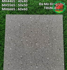 Vĩ Năng 60x60 - MH6665