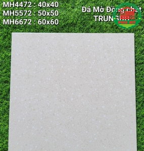 Vĩ Năng 60x60 - MH6672