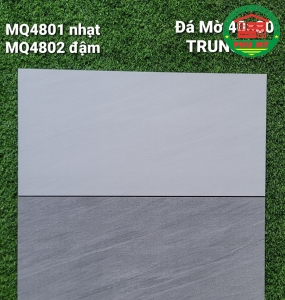 Vĩ Năng 40x80 - MQ4801