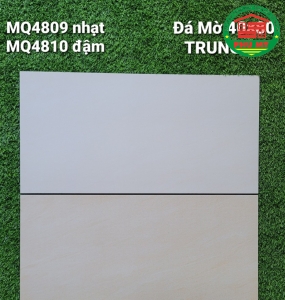 Vĩ Năng 40x80 - MQ4809 