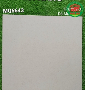 Vĩ Năng 60x60 - MQ6643