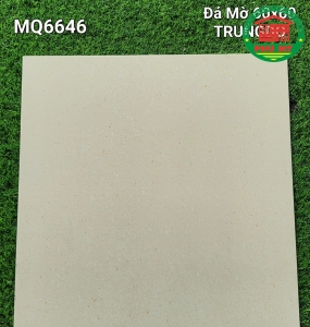 Vĩ Năng 60x60 - MQ6646