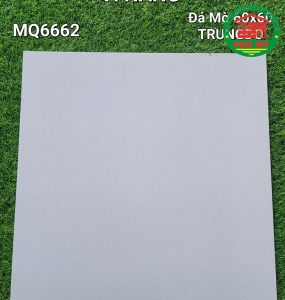 Vĩ Năng 60x60 - MQ6662