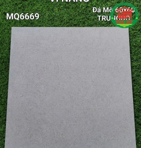 Vĩ Năng 60x60 - MQ6669