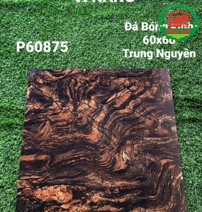 Vĩ Năng 60x60 - P60875