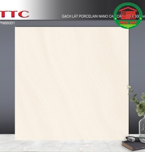 TTC 60X60 - PN66001