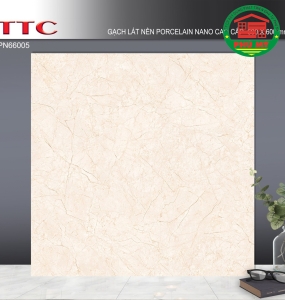TTC 60X60 - PN66005