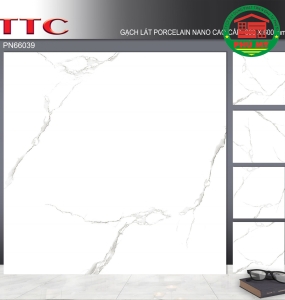 TTC 60X60 - PN66039