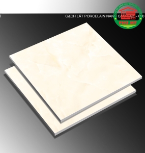 TTC 60X60 - PN66040
