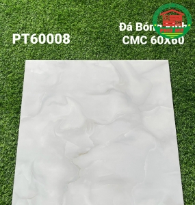 Vĩ Năng 60x60 - PT60008