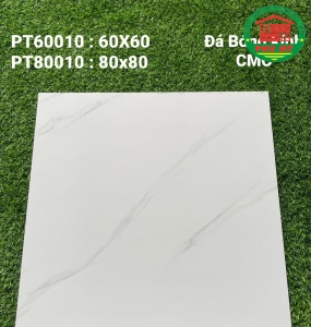 Vĩ Năng 60x60 - PT60010
