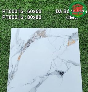 Vĩ Năng 60x60 - PT60016