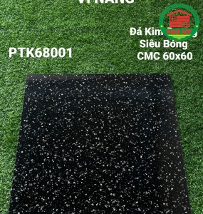 Vĩ Năng 60x60 - PTK68001