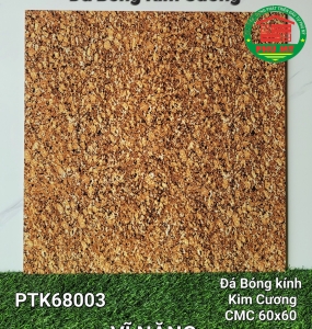 Vĩ Năng 60x60 - PTK68003