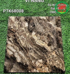 Vĩ Năng 60x60 - PTK68008