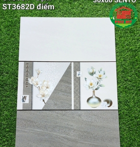Vĩ Năng 30x60 - ST3680