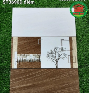 Vĩ Năng 30x60 - ST3688 