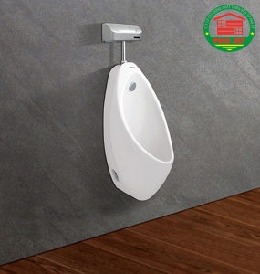 Tiểu nam Viglacera T1