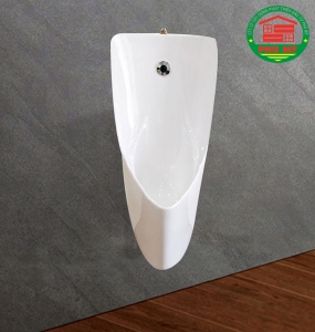 Tiểu nam Viglacera T6