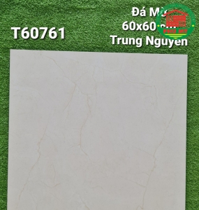 Vĩ Năng 60x60 - T60761
