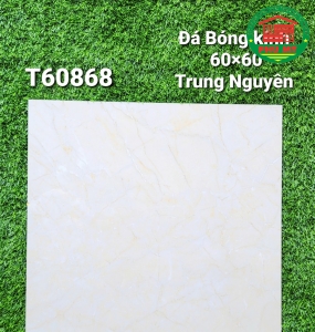 Vĩ Năng 60x60 - T60868
