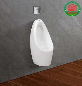 Tiểu nam Viglacera T9