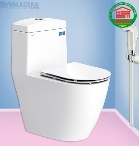 Bàn cầu Viglacera V199