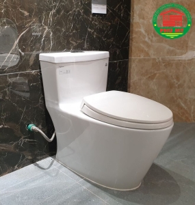 Bàn cầu Viglacera V62 