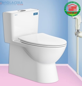 Bàn cầu Viglacera V808 