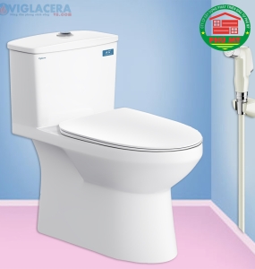 Bàn cầu Viglacera V811