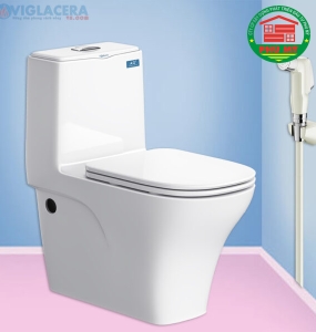 Bàn cầu Viglacera V815
