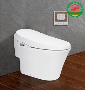 Bàn cầu Viglacera V91 