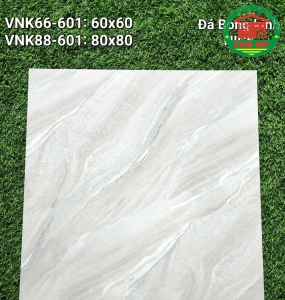 Vĩ Năng 60x60 - VNK66-601