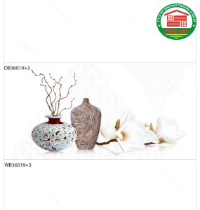 DV36019+3 - DB36019+3 - WB36019+3