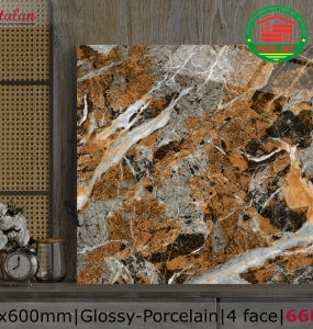 PORCELAIN - BÓNG - 60x60 - 66025