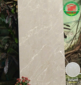 Apodio - 61222011
