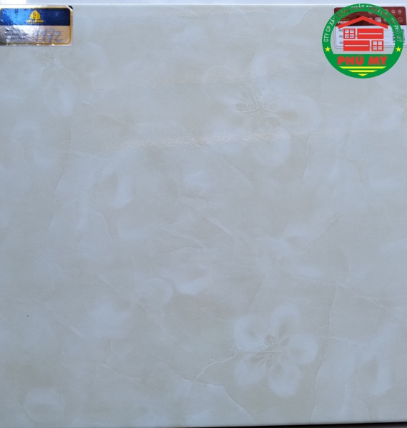 50x50 prime-1174