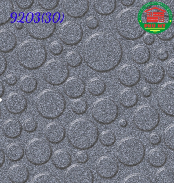 30x30 Prime-9203