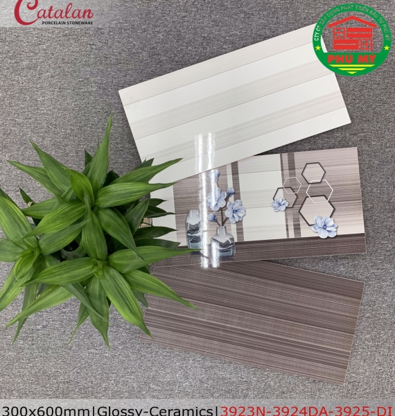 CERAMICS - BÓNG - 30x60 - 3923-3924-3925