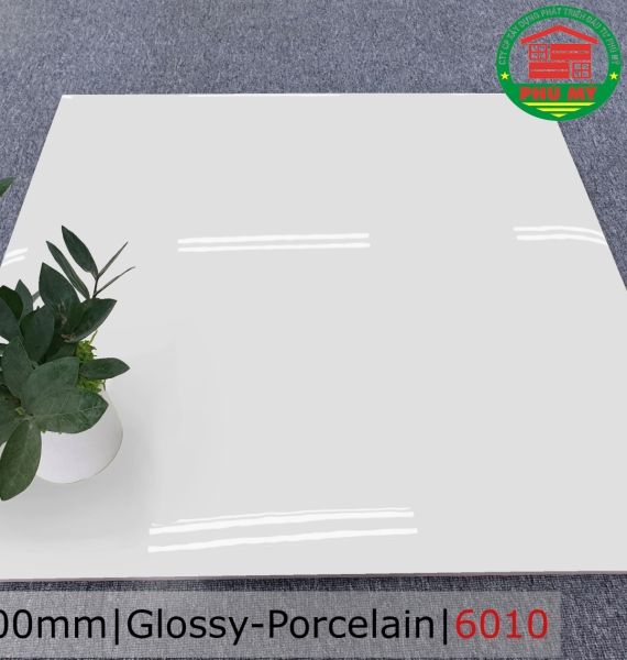 PORCELAIN - BÓNG - 60x60 - 6010