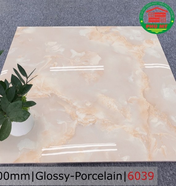 PORCELAIN - BÓNG - 60x60 - 6039
