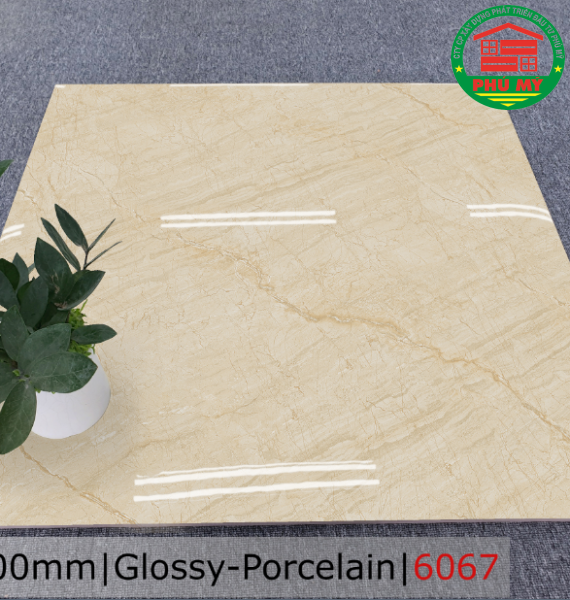 PORCELAIN - BÓNG - 60x60 - 6067