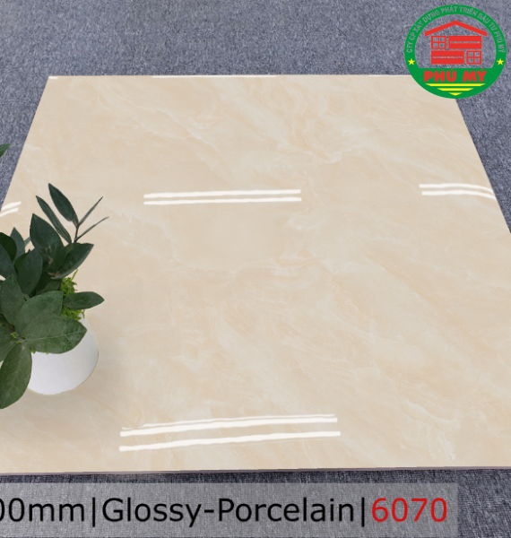 PORCELAIN - BÓNG - 60x60 - 6070