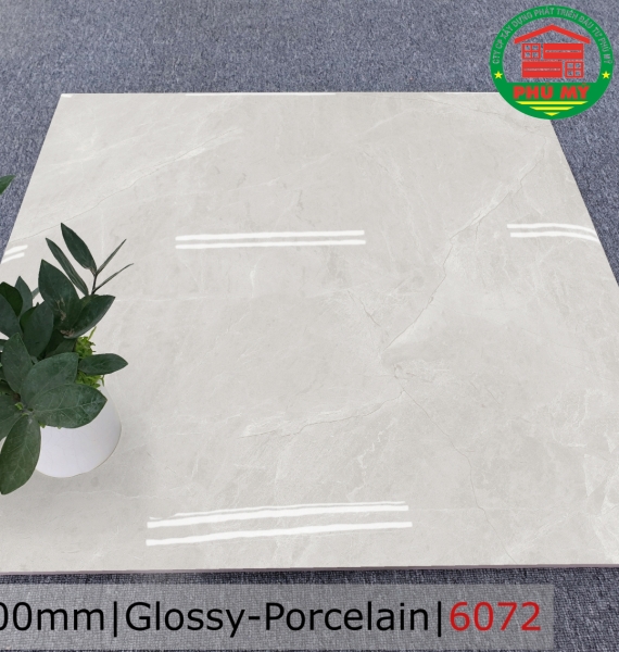 PORCELAIN - BÓNG - 60x60 - 6072